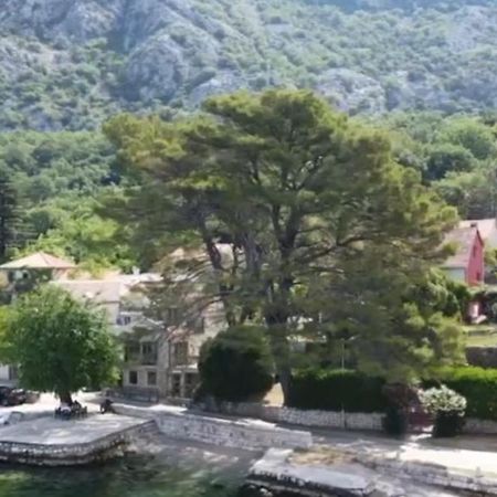 Apartment On The Shore Of The Bay Of Kotor With Free Wi-Fi Buitenkant foto