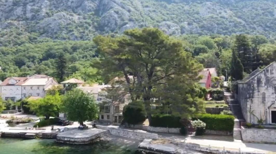 Apartment On The Shore Of The Bay Of Kotor With Free Wi-Fi Buitenkant foto
